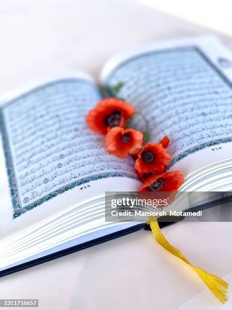 the holy quran - acanthurus sohal stock pictures, royalty-free photos & images