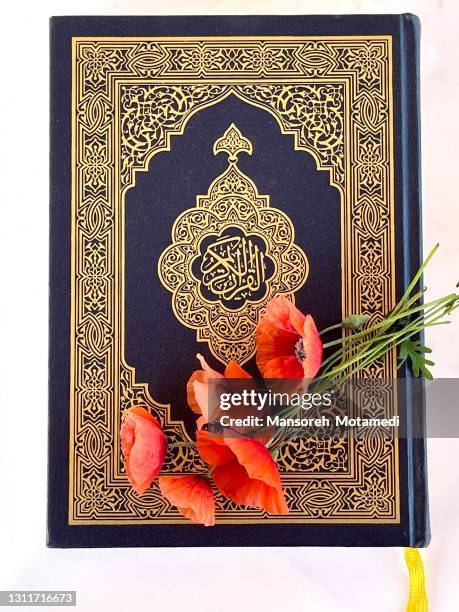 the holy quran - acanthurus sohal stock pictures, royalty-free photos & images