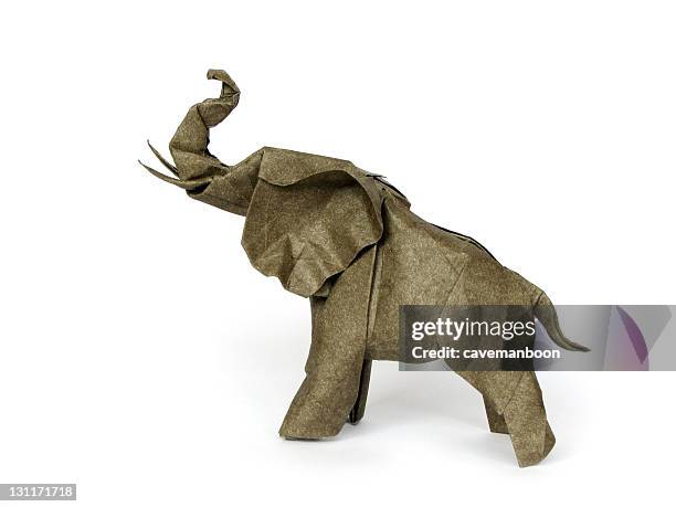 origami elephant - origami stock pictures, royalty-free photos & images