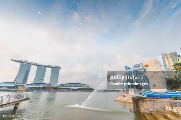 the merlion, the landmark of singapore, and a blue and sunny sky at the back - merlion park singapore stock pictures, royalty-free photos & images