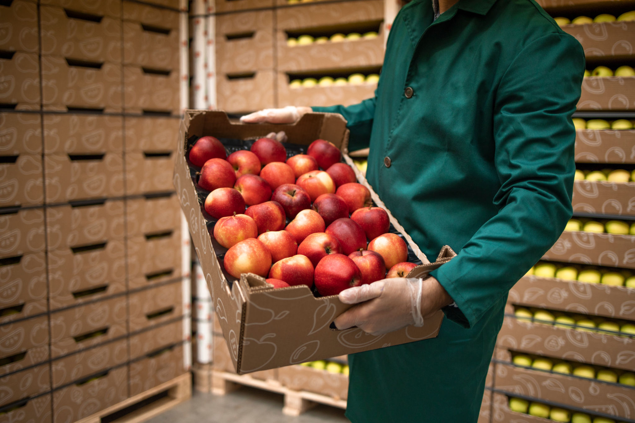Close up view of unrecognizable worker holding crate full of red apples in organic food factory warehouse. Close up view of unrecognizable worker holding crate full of red apples in organic food factory warehouse.