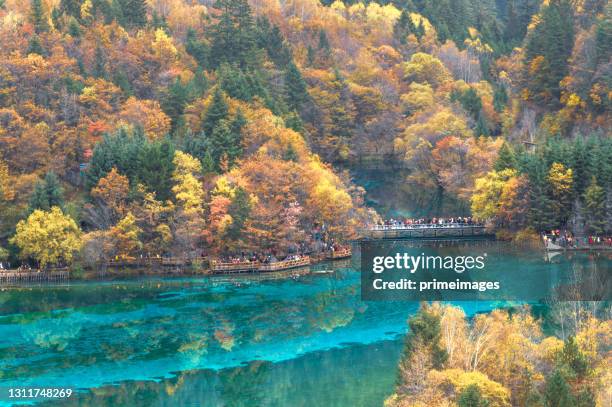 toursit enjoying travel perfecet naturel at china autumn jiuzhaigou nature reserve (jiuzhai valley national park) - jiuzhaigou imagens e fotografias de stock