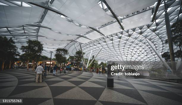 people inside changi airport in singapore - changi airport stock pictures, royalty-free photos & images