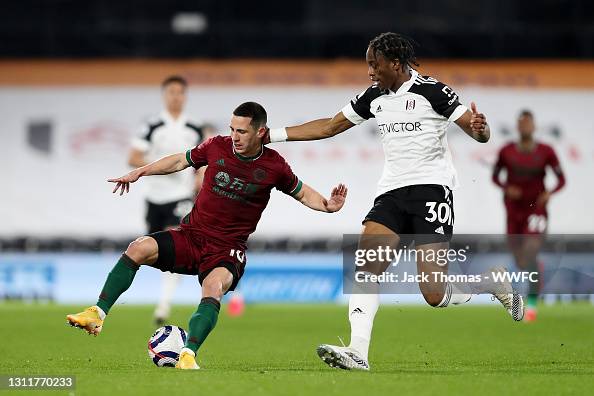 Fulham v Wolverhampton Wanderers - Premier League Fulham v Wolverhampton Wanderers - Premier League