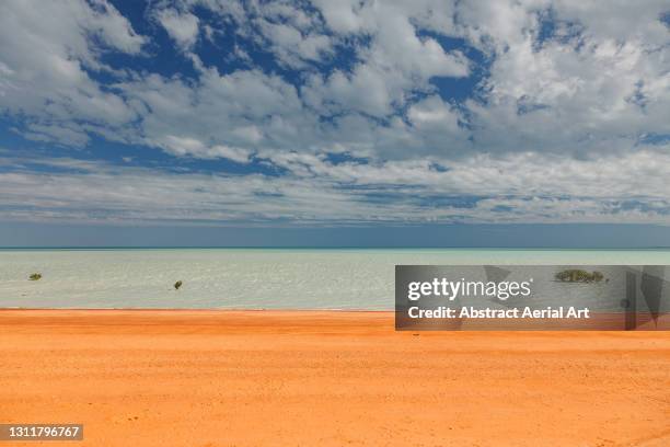 dirt road alongside mangroves, broome, western australia, australia - tropical bush stockfoto's en -beelden