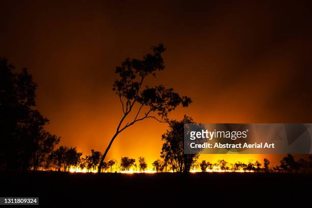 dramatic view showing a forest fire in the northern territory, australia - australia wildfires stockfoto's en -beelden