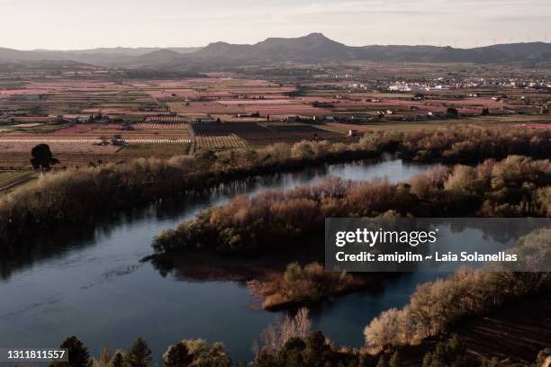 paisaje escénico del río ebro durante la primavera - paisaje escénico stock-fotos und bilder
