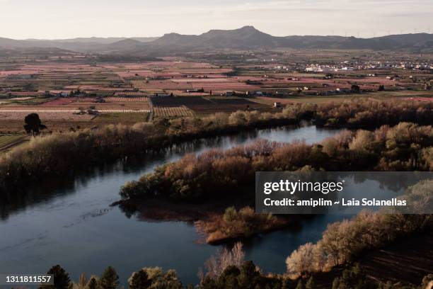 paisaje escénico del río ebro durante la primavera - paisaje escénico stock pictures, royalty-free photos & images