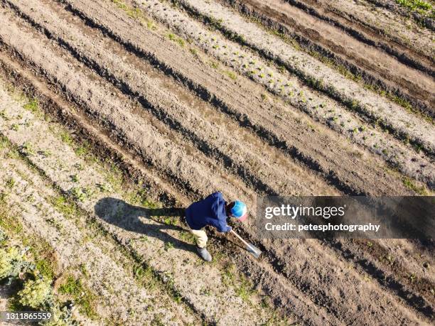 18 918点の耕すのストックフォト Getty Images 18 918点の耕すのストックフォト Getty Images