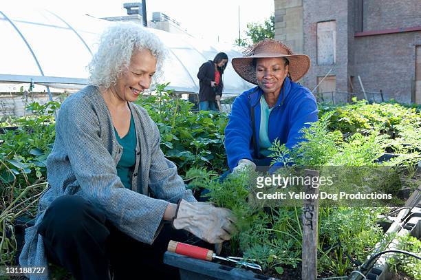Mature Women Working in Urban Community Garden