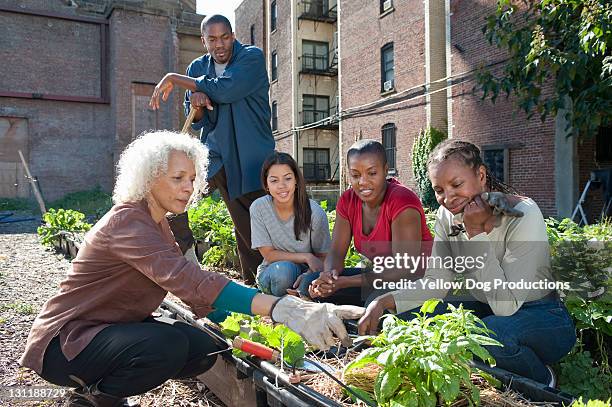 group working in an urban organic community garden - jardín de la comunidad fotografías e imágenes de stock