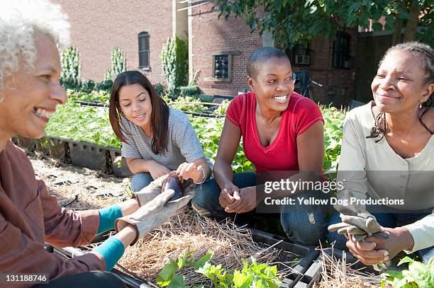 women working in urban organic community garden - newark new jersey neighborhood stock pictures, royalty-free photos & images