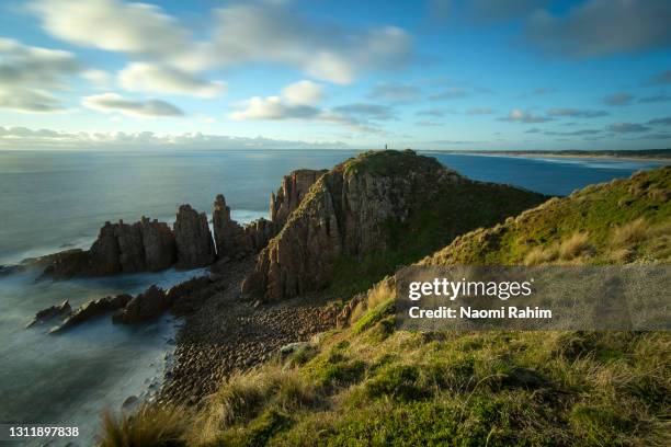 an adventurer stands on top of the pinnacles off the coast of phillip island, victoria, australia - gippsland stockfoto's en -beelden