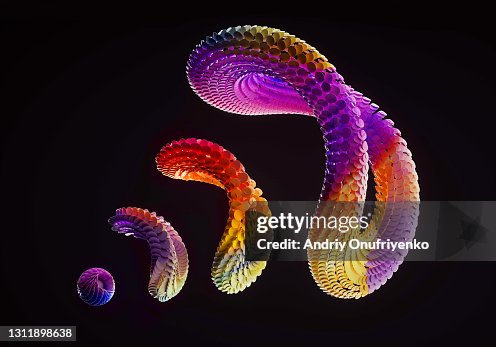 Shape Existed Evolution Of Shape High-Res Stock Photo - Getty Images