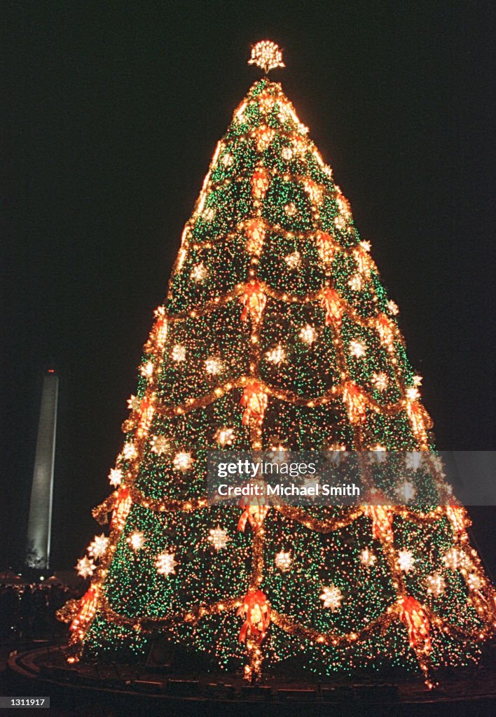 National Christmas Tree