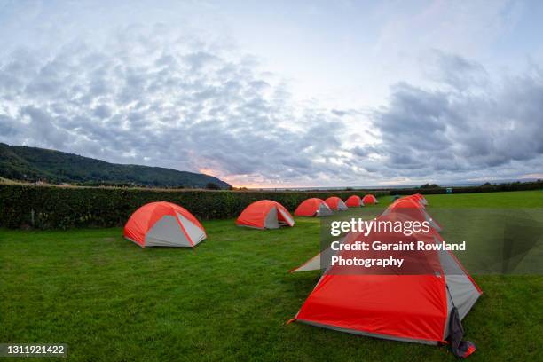 camping, great britain - boy scout stock pictures, royalty-free photos & images