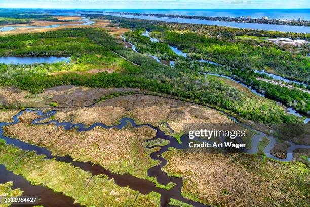 paisaje costero de florida - pantanal fotografías e imágenes de stock