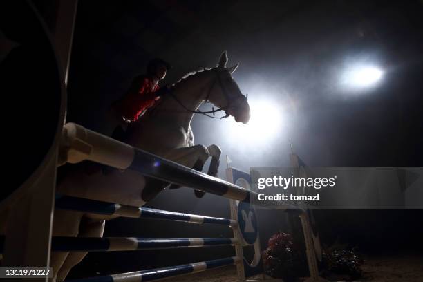 silhouette eines pferdes und eines reiters, der über die hürde springt - kastanienfarben stock-fotos und bilder