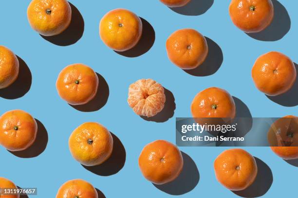 orange tangerines with one of them peeled on blue background - mandarina imagens e fotografias de stock
