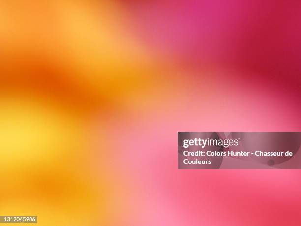 abstract macro photography of a flower in contrasting and saturated colors - arancione foto e immagini stock