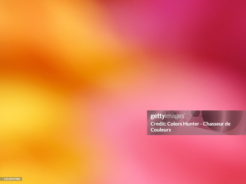 Abstract macro photography of a flower in contrasting and saturated colors