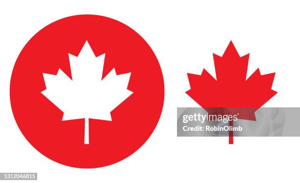 rote kreis maple leaf symbole - ahornblatt stock-grafiken, -clipart, -cartoons und -symbole