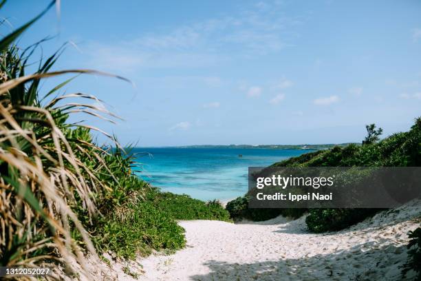 path to tropical beach with clear blue water, okinawa, japan - okinawa blue sky beach landscape stock pictures, royalty-free photos & images