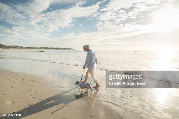 woman walking her dog on a beach at sunset - senior woman walking stock pictures, royalty-free photos & images