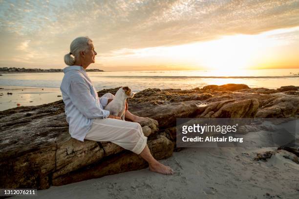 senior woman sitting with her dog on a beach at sunset - pensioen thema stockfoto's en -beelden