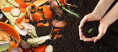 Organic waste for composting on soil and woman holding green seedling, top view. Natural fertilizer