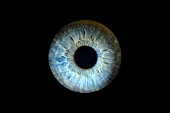 Macro shot of female eye, iris, cropped on black background, usable as creative background