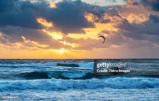 united states, florida, delray beach, kite surfer in ocean at sunrise - delray beach stock pictures, royalty-free photos & images