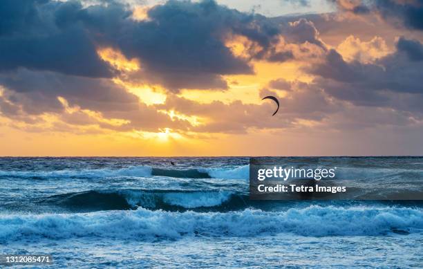 united states, florida, delray beach, kite surfer in ocean at sunrise - delray beach bildbanksfoton och bilder