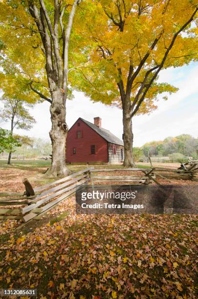 united states, new jersey, morristown, jockey hollow and trees in autumn - morristown stock pictures, royalty-free photos & images