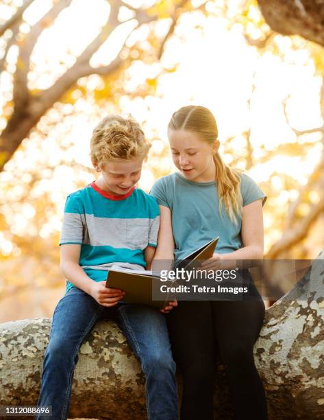 united states, california, mission viejo, boy (10-11) and girl (12-13) sitting on tree branch and reading book - girl 10 12 stock pictures, royalty-free photos & images