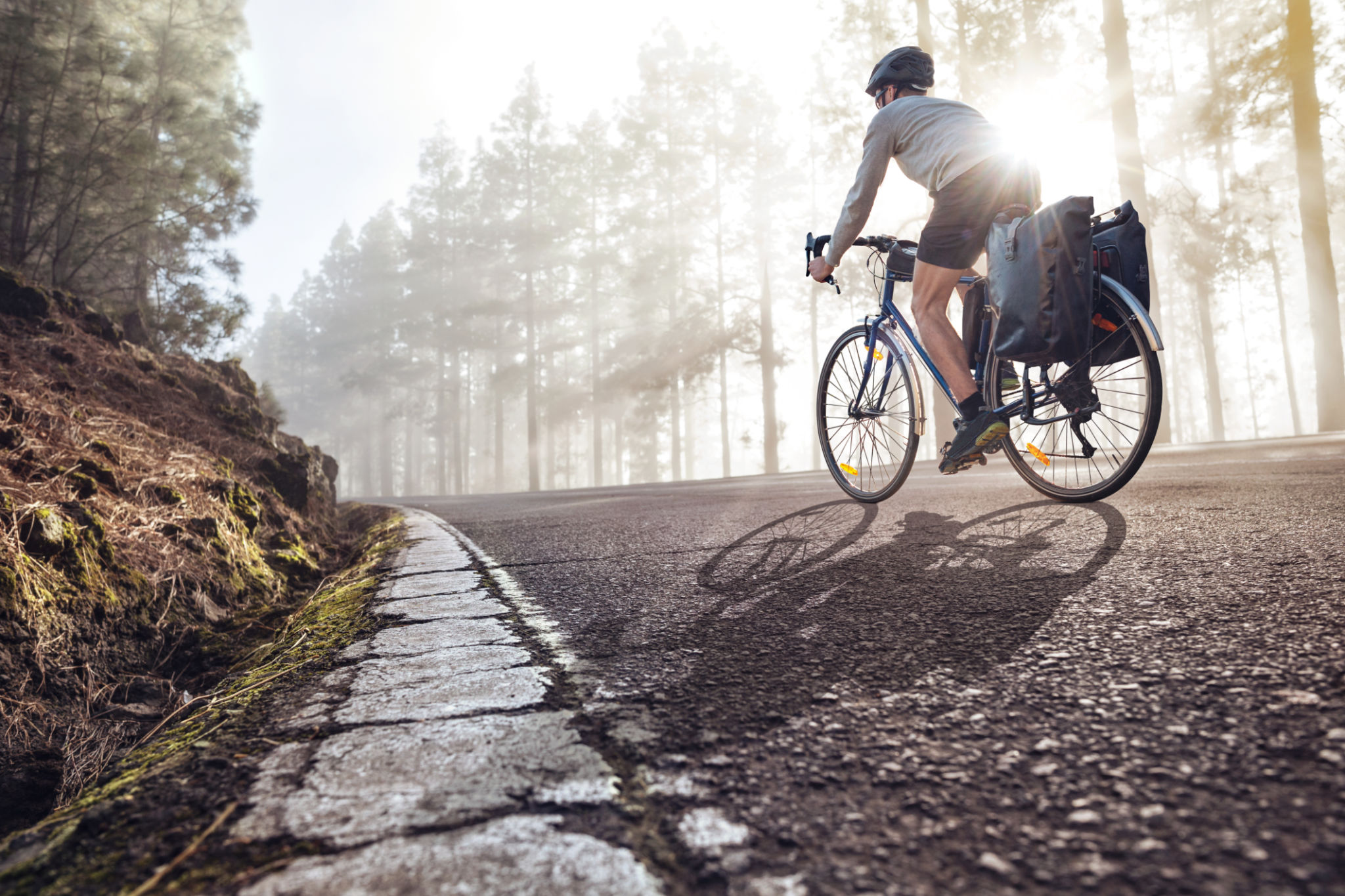 bicycle pannier