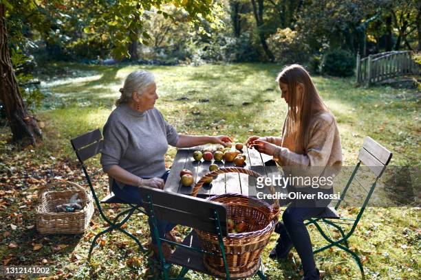 grandmother and adult granddaughter sitting at table with apples in garden - grandma cane stock pictures, royalty-free photos & images