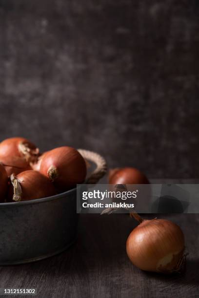 cebollas sobre mesa de madera oscura - cebolla fotografías e imágenes de stock
