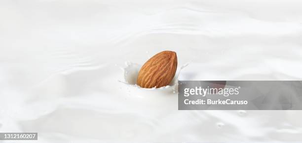 almond dropping into milk - almond milk stock pictures, royalty-free photos & images
