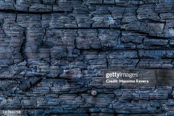 charred wood - burnt stock pictures, royalty-free photos & images