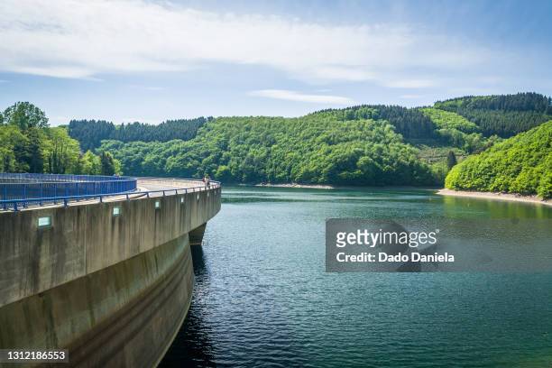 lac de la haute-sûre - luxembourg stock pictures, royalty-free photos & images