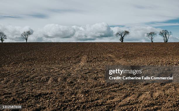 beautiful ploughed field and skyscape - arado maquinaria de agricultura - fotografias e filmes do acervo