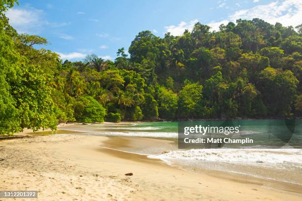 tropical beach and rainforest in costa rica - costa rica beach stock pictures, royalty-free photos & images