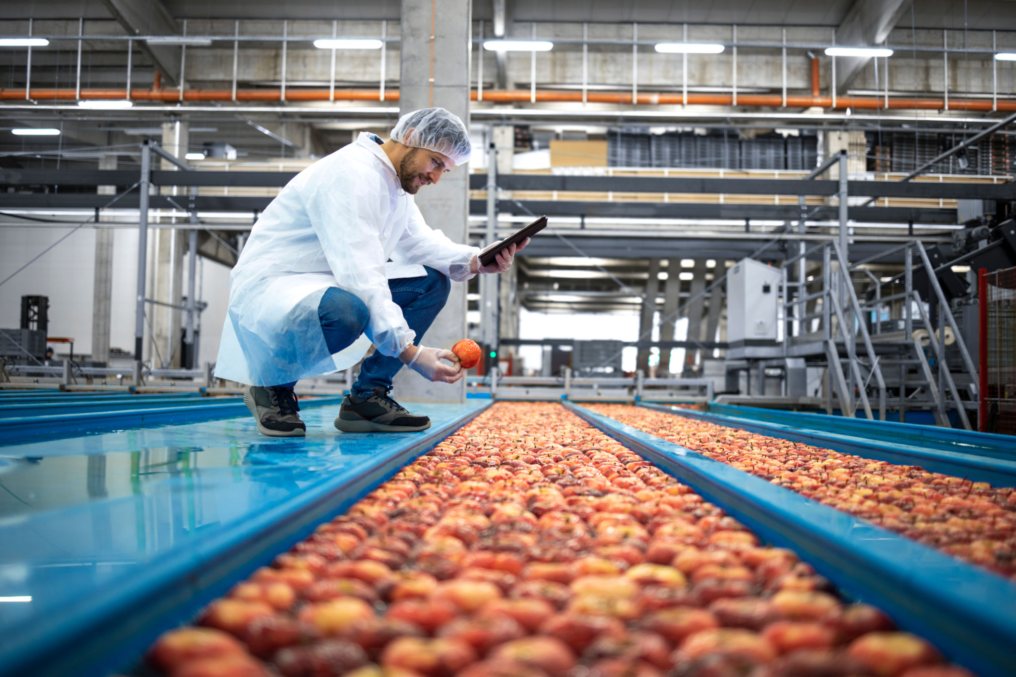 food quality inspection food quality inspection