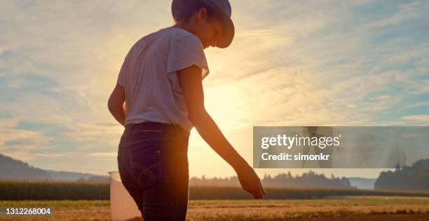 female farmer tossing seeds in farm - farmer dawn stock pictures, royalty-free photos & images