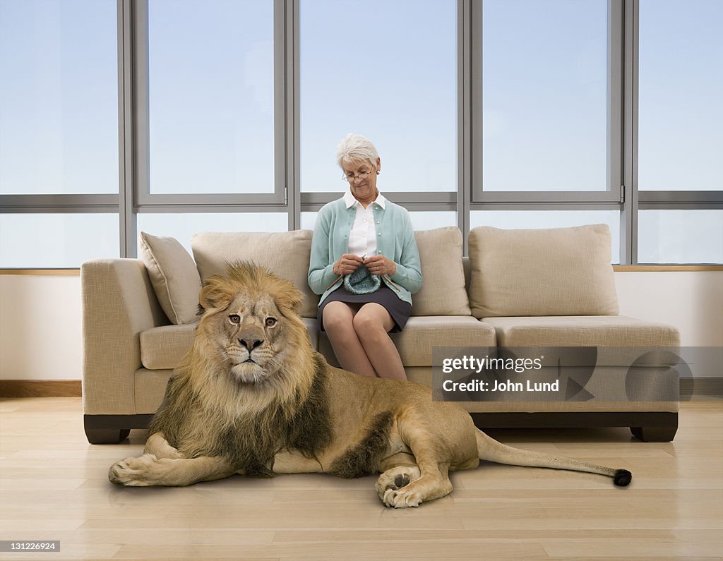 Senior woman knitting with lion at her feet