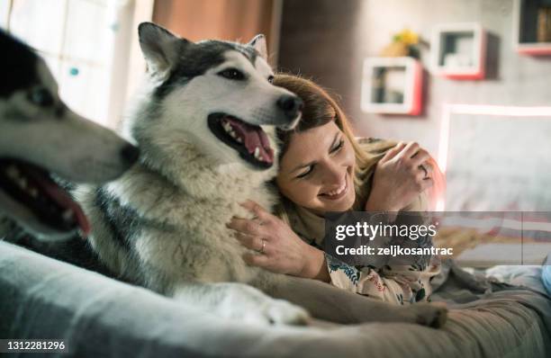 una pareja joven pasa tiempo en casa con perros - husky fotografías e imágenes de stock