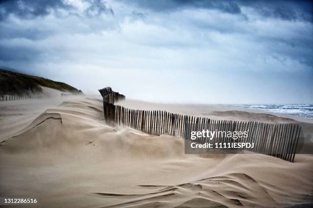 empty beach during a storm - netherlands beach stock pictures, royalty-free photos & images