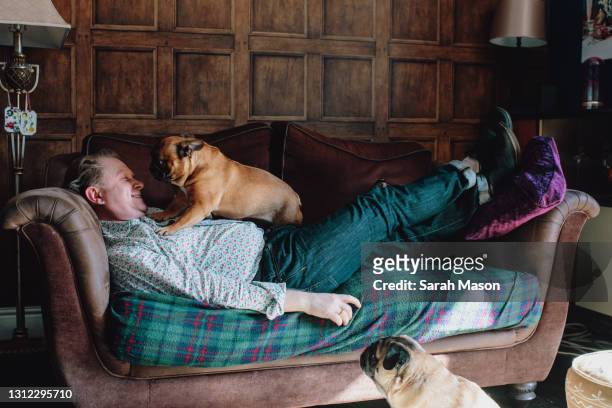 man reclined on sofa with two dogs - mann anhimmeln stock-fotos und bilder