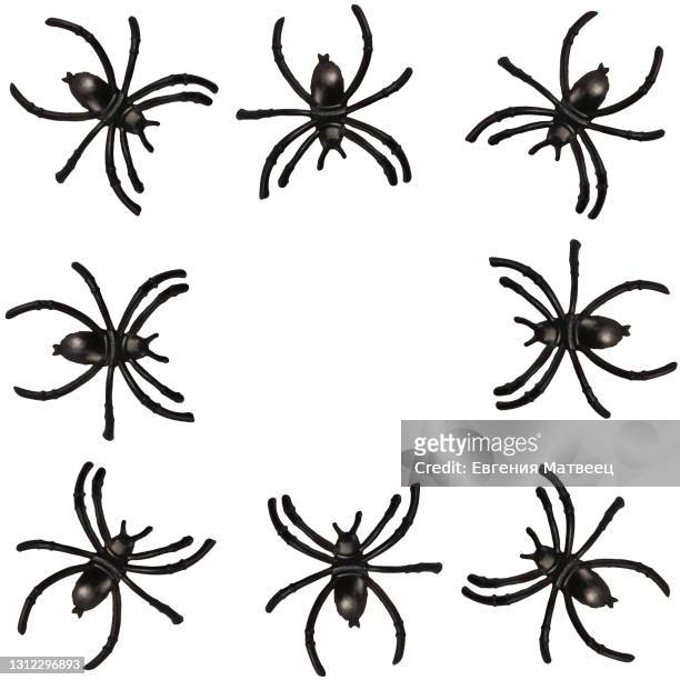 black toy spiders isolated on white background. halloween decorations concept. top view. flat lay - spider fotografías e imágenes de stock